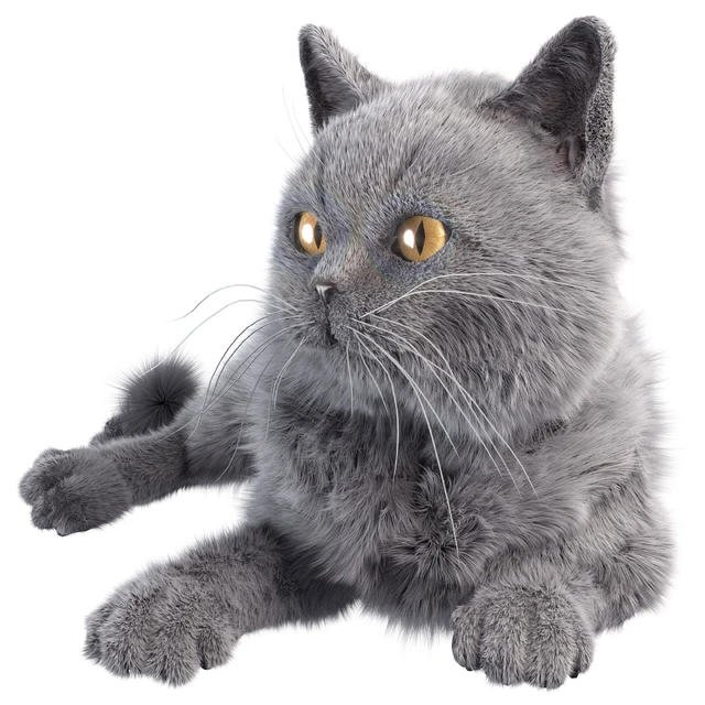 Gray Cat — Descargar
