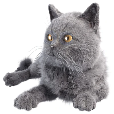 Gray Cat — Ver 1