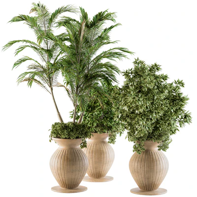 Outdoor Plants - Set 88 — Вид 3