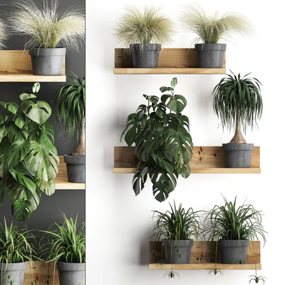 Vertical gardening. 48 Shelf with flowers, monstera, dracaena, Chlorophytum, indoor plants, eco design — Ver 1