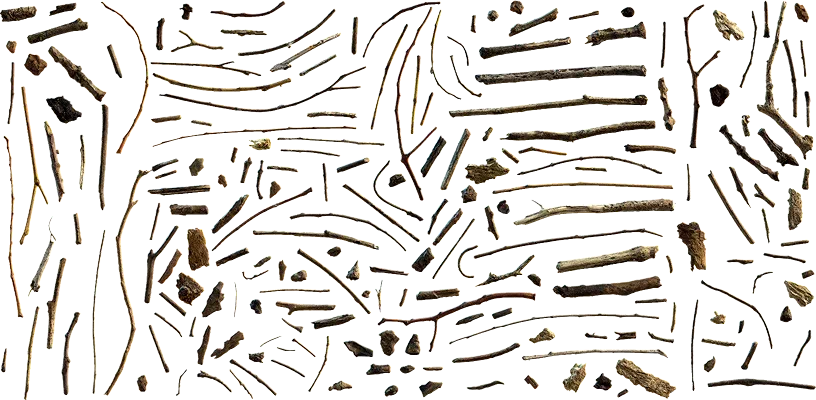 debris and twigs 001 — Descargar