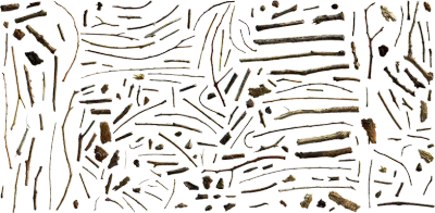 debris and twigs 001 — Descargar