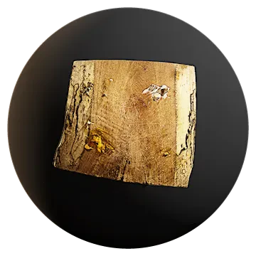 cheese board 001 — Скачать
