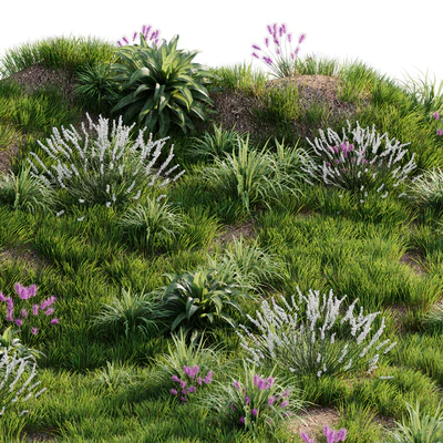 Grass on the slope — Вид 5