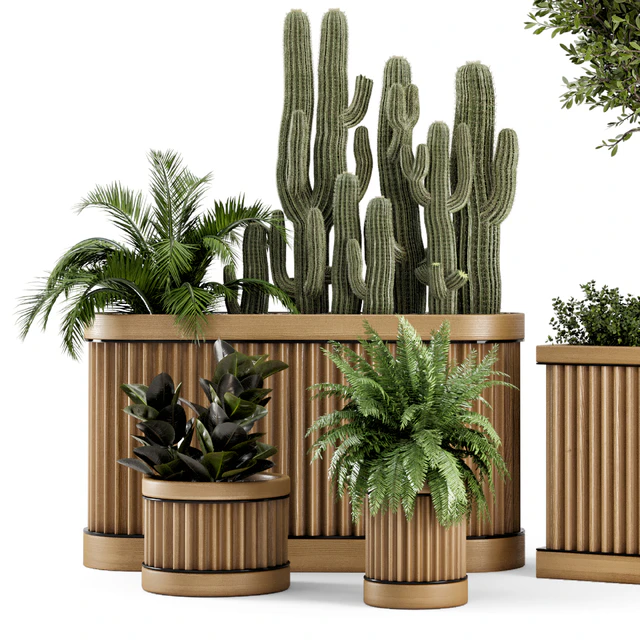 Indoor Plants Bush and Tree in Wooden Pot - Set 401 — Скачать