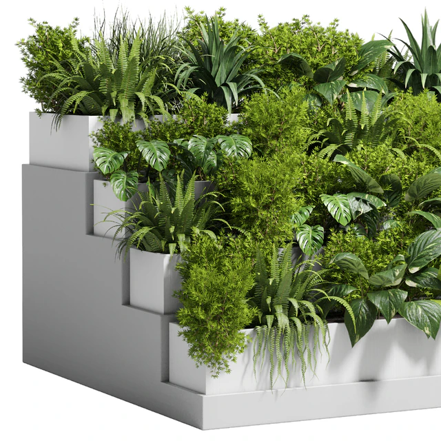 Stairs plant - Collection outdoor indoor plant 78 concrete vase pot fern bush grass — Descargar