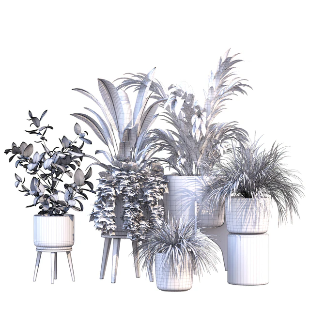 plant in vase collection set 214 — Descargar
