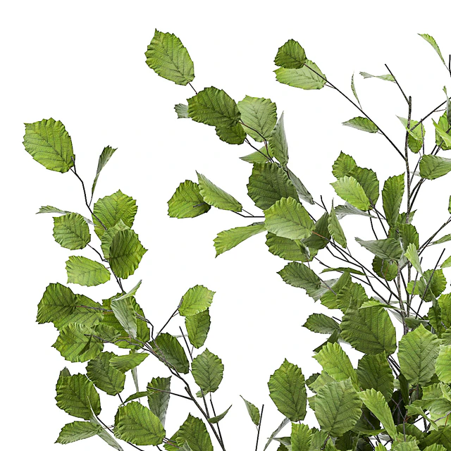 Collection of plants in a pot with hazel, linden and reed trees, bushes. 1066 — Descargar