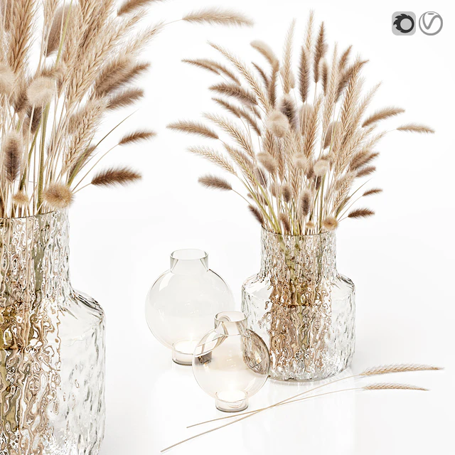 Dry flowers in glass vase — Descargar