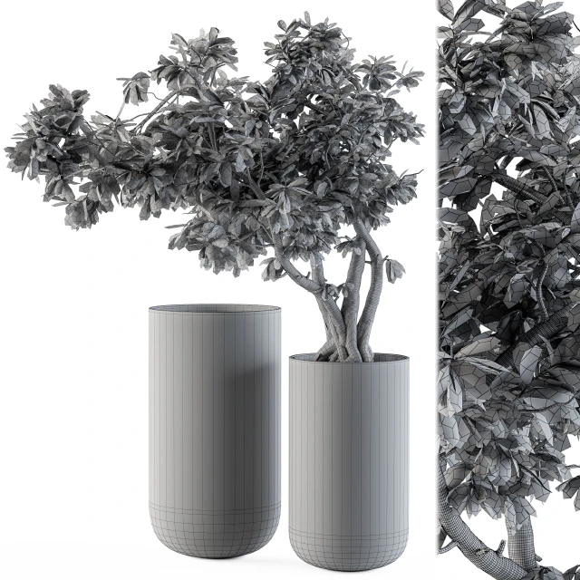 Bouquet Set 17 - Pink Bonsai — Descargar
