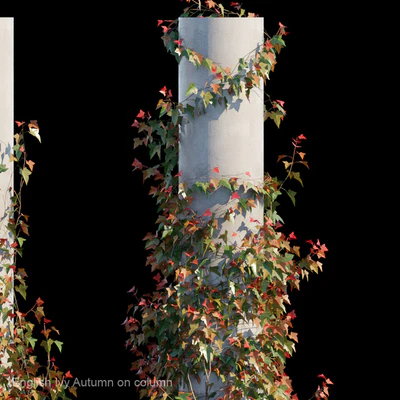 English Ivy Autumn on column — Ver 3