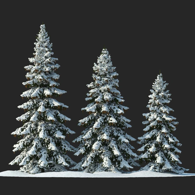 Winter spruces (Winter spruces) — Descargar