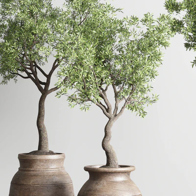 collection indoor outdoor plant 114 vase concrete wood old pot tree cactus — Вид 7