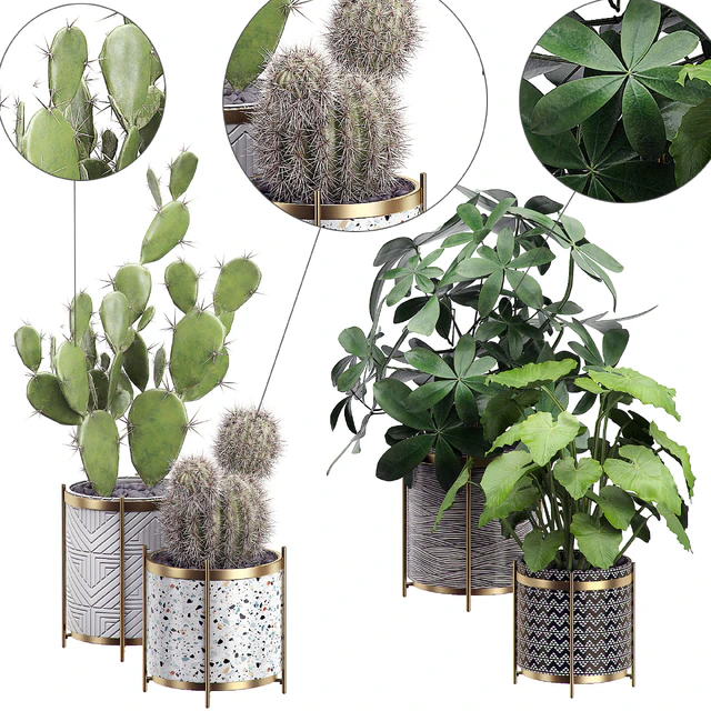 INTERIOR FLOWER PACK 19 - CACTUS. Part 3 — Descargar