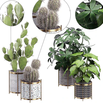 INTERIOR FLOWER PACK 19 - CACTUS. Part 3 — Ver 1