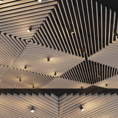 False ceiling rack. 21 — Ver 3