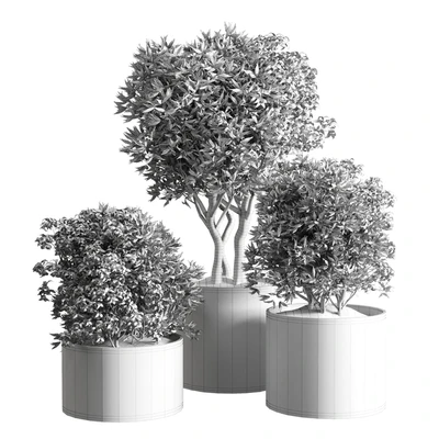 collection Indoor plant 42-wood vase — Вид 4