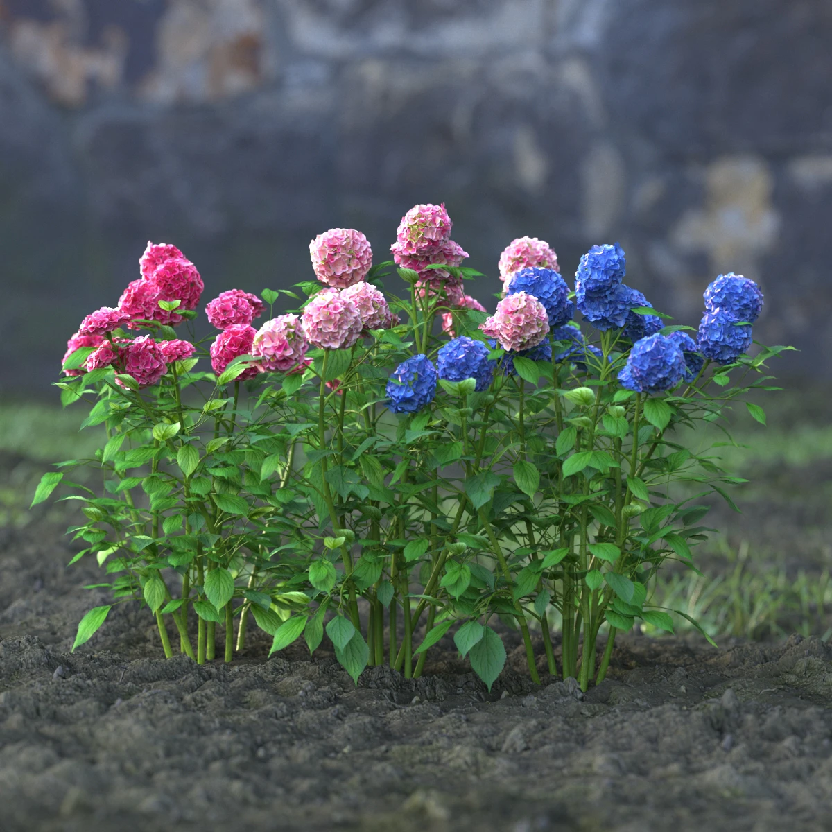 garden flowers 060 — Скачать
