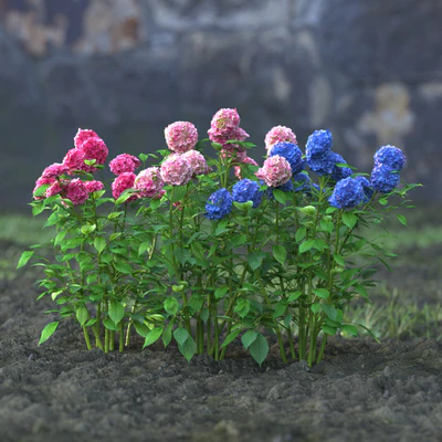 garden flowers 060 — Скачать