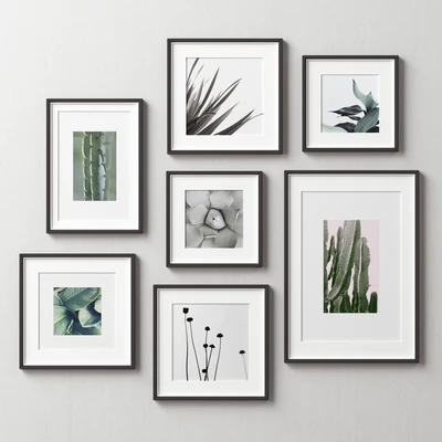Picture Frames Set -163 — Ver 1