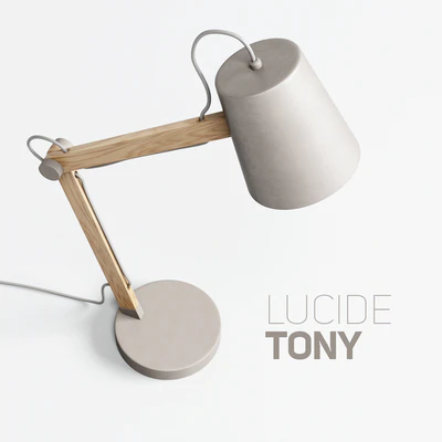 Настольная лампа LUCIDE TONY — Вид 2