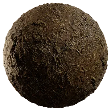 moist dried grass 004 — Descargar
