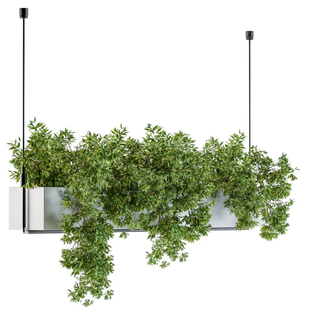 Hanging box plant — Descargar