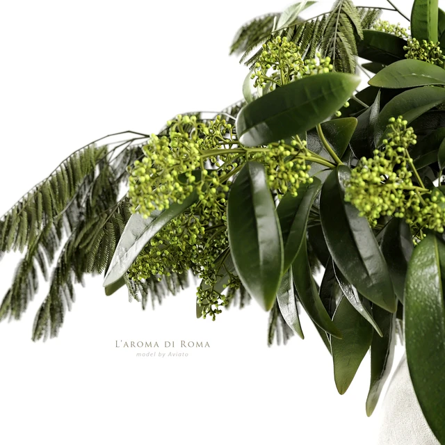 L'aroma di Roma — Descargar