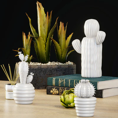 Decorative set   cactus — Вид 1
