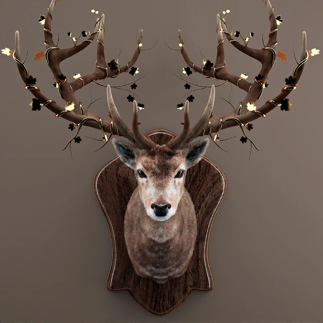 Deer — Descargar