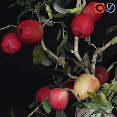 Red Cherry tomato apple branches Dry leaves Vase — View 4