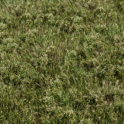 Wild Grass Green - Grass Set 01 — Вид 1