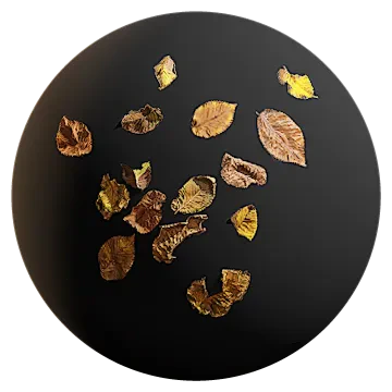 elm leaves 003 — Скачать
