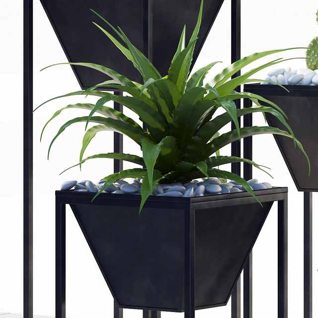 PLANTS 198 — Descargar