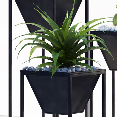PLANTS 198 — Ver 3