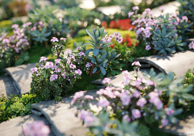 plant models vol 042 — Descargar