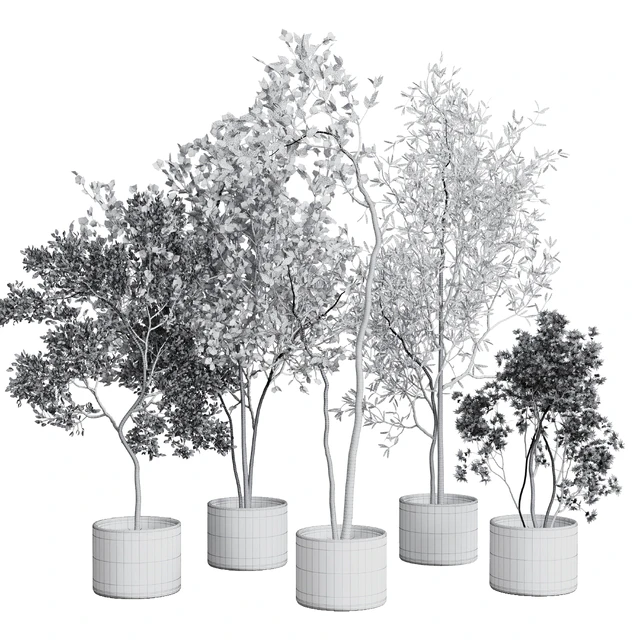 collection indoor plant 326 concrete vase — Скачать