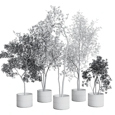 collection indoor plant 326 concrete vase — Вид 4