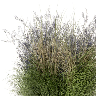 Outdoor Plants Bush-Bush Set 660 — Ver 4