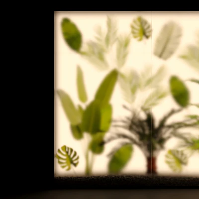 Phyto Display Case — Ver 5