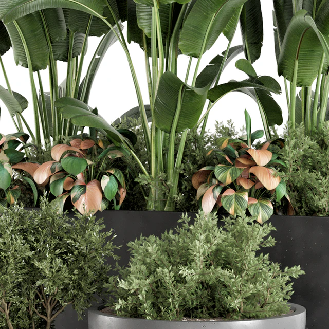 Outdoor Garden set Bush and Tree - Garden Set 1144 — Descargar