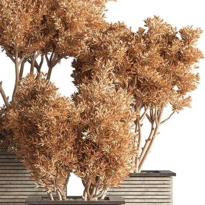 Outdoor Plants tree 22 — Ver 5