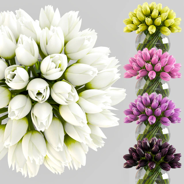 Angelique tulips — Descargar