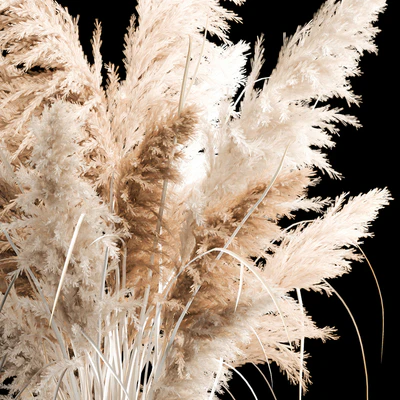 Bouquet of white dried flowers in a wicker basket, reeds, pampas grass, Cortaderia. 256. — Ver 5