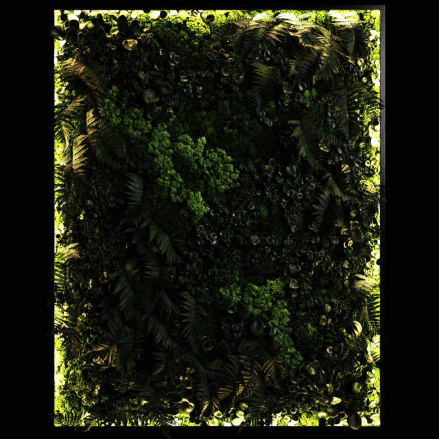 Fytowall 2 — Descargar