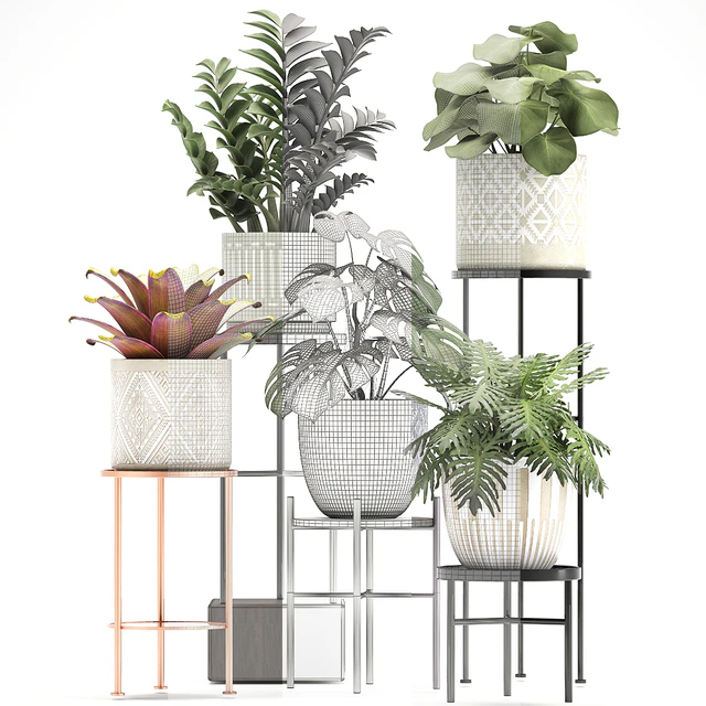 Collection of plants 333. Flower shelf, stand, Zamioculcas, monstera, Bromelia, Philodendron, houseplants, stand, Scandinavian style, flower — Descargar