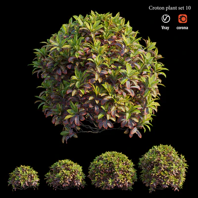 Croton plant set 10 — Ver 4