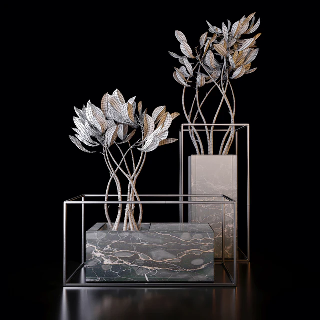 Croton trees — Descargar