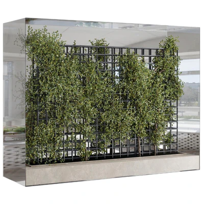 Plants Set Partition In Behind Glass - Ivy Garden Wall Decor Set 116 — View 3