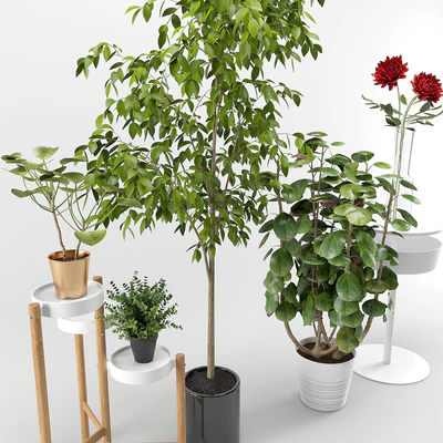 Ikea plants set — Вид 3